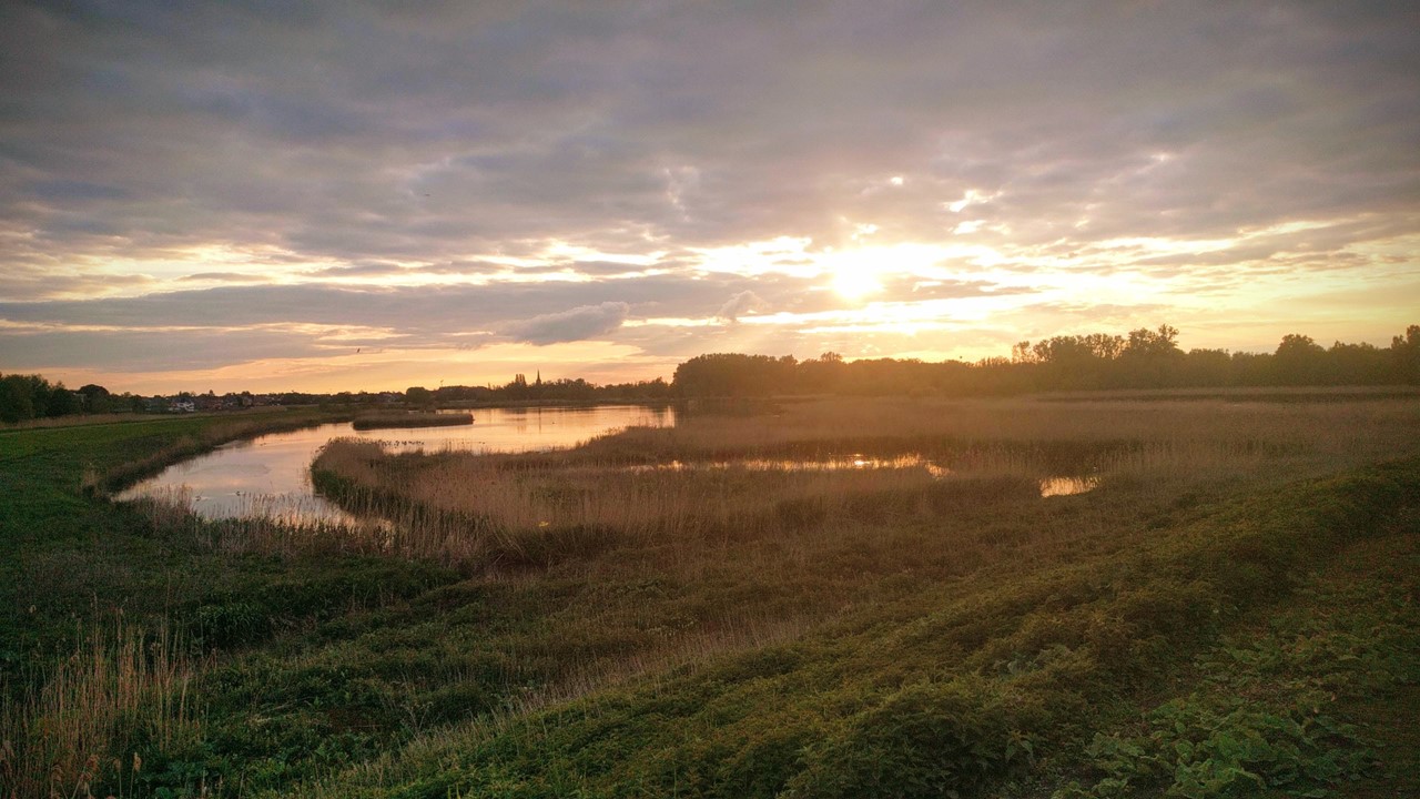 in de buurt