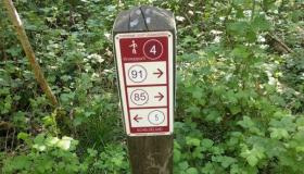 Knooppunten